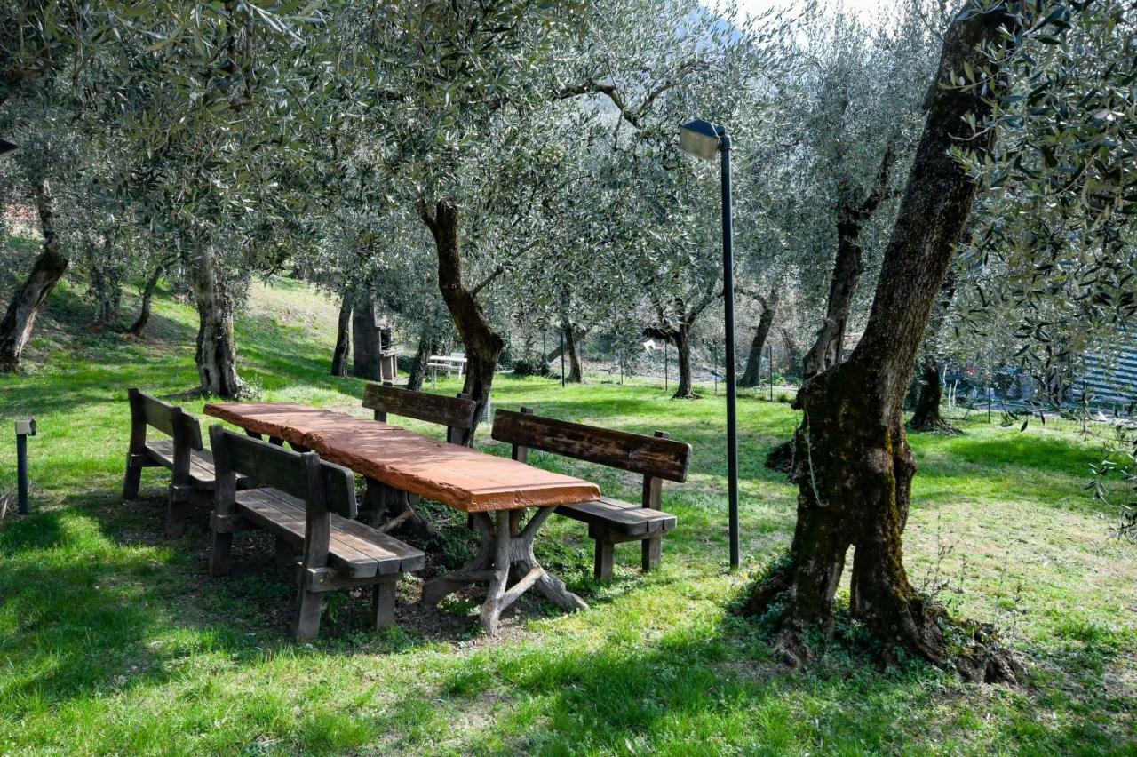 Residence Kormorano Malcesine Lake View المظهر الخارجي الصورة