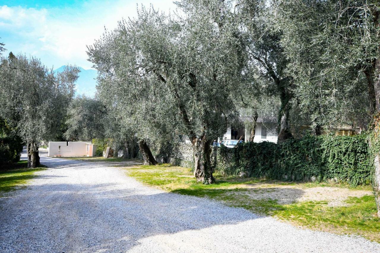 Residence Kormorano Malcesine Lake View المظهر الخارجي الصورة